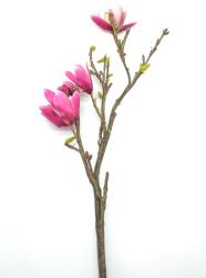 Ramo di Magnolia Stellata Fucsia