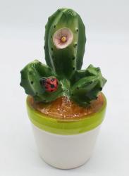 Cactus in Ceramica