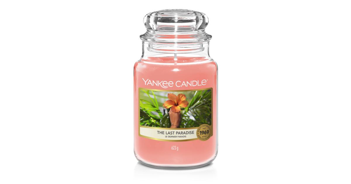 Profumatore Auto Midnight Jasmine Yankee Candle – Mondo Verde Garden