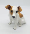 Cagnolino Jack Russell