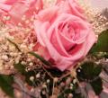 Bouquet 3 Rose Stabilizzate