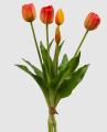 Mazzo di Tulipani del Prato - Scegli il Colore