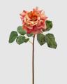 Rosa Aperta Superior - Scegli il Colore