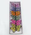 Farfalle Colorate - Scegli il modello