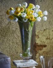 Tulipano Delux in Lattice