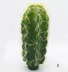 Cactus Colonna - Scegli la Misura