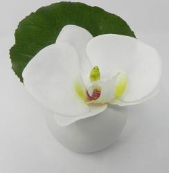 Fiore di Orchidea con Vasetto