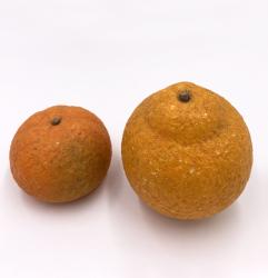 Mandarino in Marmo