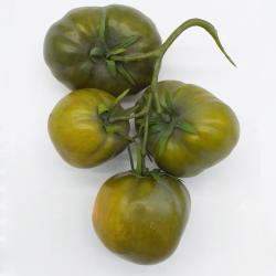 Grappolo di Pomodori Verdi Artificiali