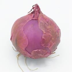 Cipolla Viola Artificiale