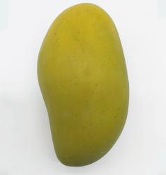 Mango Verde Artificiale